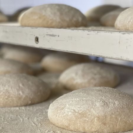 Geformte Teiglinge ruhen